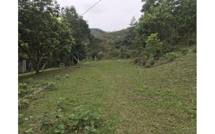 Bán 1ha đất thổ cư và đất vườn tại xã Cư Yên, Lương Sơn, Hòa Bình. 400 nghìn/m2