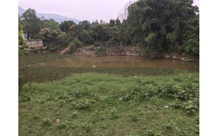 Bán 1ha đất thổ cư và đất vườn tại xã Cư Yên, Lương Sơn, Hòa Bình. 400 nghìn/m2