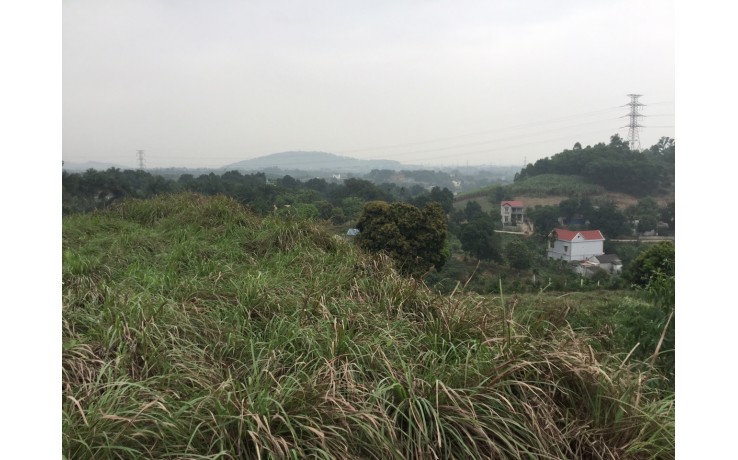 Bán 10 700 m2 đất thổ cư ở xã Hoà Sơn, Lương Sơn, Hoà Bình. Giá 380 N/m2.