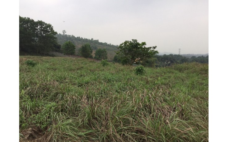 Bán 10 700 m2 đất thổ cư ở xã Hoà Sơn, Lương Sơn, Hoà Bình. Giá 380 N/m2.