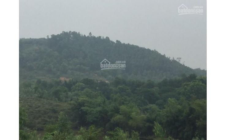 Bán 3ha (30.000m2) đất thổ cư tại xã Tiến Xuân, Thạch Thất, Hà Nội