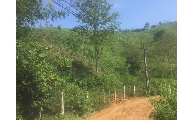 5 Ha đất rừng, tại Vé, xã Tân Vinh, Lương Sơn, Hoà Bình. 320 triệu/1Ha.