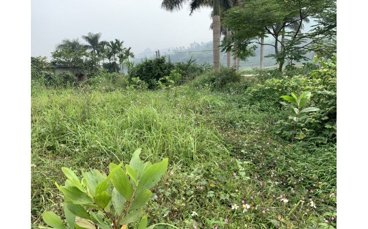 6150 m2 đất thổ cư, vườn tại Suối Rè, Cư Yên, Lương Sơn, Hoà Bình, giá 2,5 tỷ.