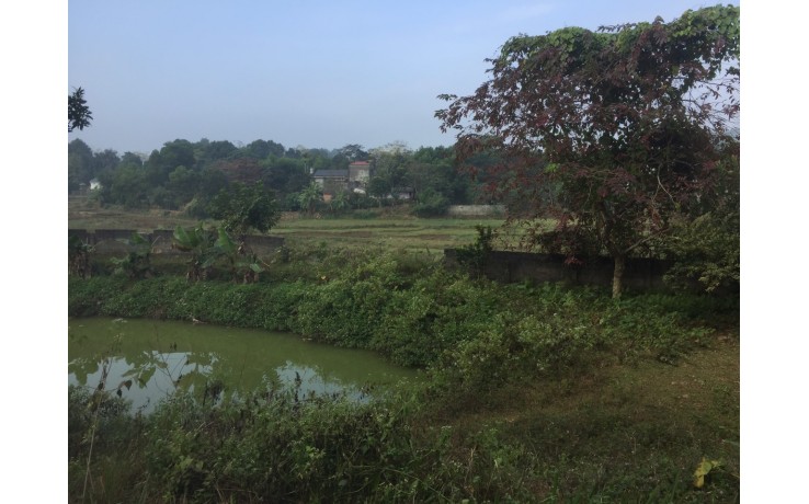 2100 m2 đất thổ cư tại xã Cư Yên, Lương Sơn, Hoà Bình. Giá 1,4 tỷ.