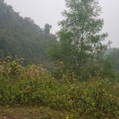 Cần chuyển nhượng 64ha đất rừng SX tại Kỳ Sơn, Hòa Bình, giá rẻ.