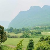 BÁN GẤP 13ha(130.000m2) đất rsx giáp sân golf Phượng hoàng Lâm Sơn Lương sơn giá h 300tr/ha làm nghỉ dưỡng
