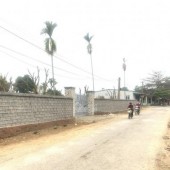 Chính chủ cần bán mảnh đất mặt đường nhựa (3 mặt tiền) khu trung tâm, sầm uất nhất xã Hợp Hoà, Lương Sơn, HB.