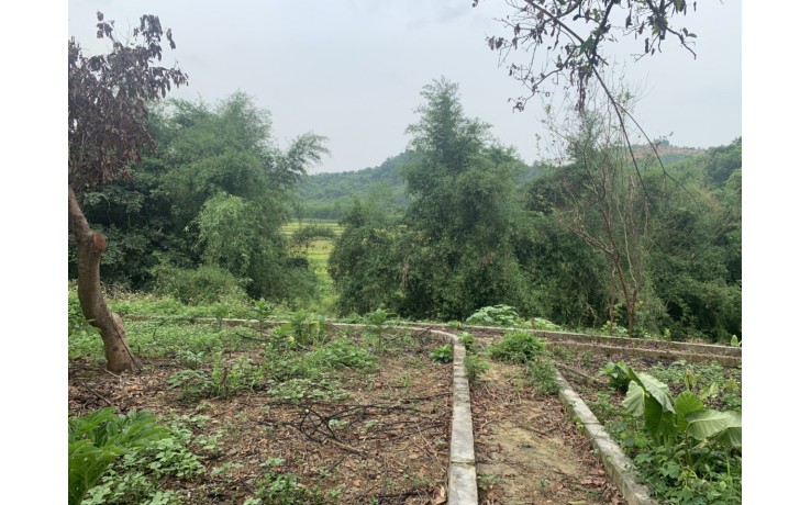 Bán 6300 m2 đất thổ cư, đất vườn  tại Lương Sơn, Hoà Bình.