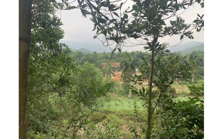Bán 4937 m2 đất tại xã Hòa Sơn, Lương Sơn, Hoà Bình. 4,2 tỷ