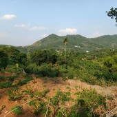 Bán đất nghỉ dưỡng tại Phú Mãn Quốc Oai Hà Nội 1800m2