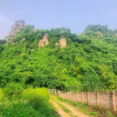 Cần bán gấp 3ha đất trồng cây sẵn nhà, thác nước tuyệt đẹp chỉ 3,x tỷ tại Tân Thành Lương Sơn Hòa Bình