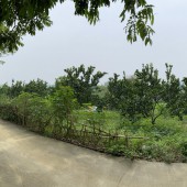 Bán đất Nam Phong, Cao Phong, Hòa Bình. Cách QL6 chỉ 1,5km.