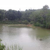 Bán đất rừng sản xuất và đất thủy sản cách Quốc lộ 21 200m ở Lương Sơn, Hòa Bình