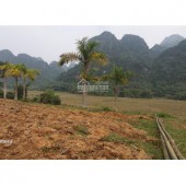 Bán đất Kim Bôi, Hòa Bình, bám đường gần 100m. LH: 0966746668