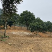 Bán đất xã Tân Vinh, Lương Sơn, Hòa Bình. Đất trồng nhiều cây ăn quả. Cách QL6 chỉ 1,5km.
