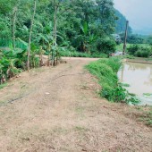 Cần bán 10.000m đất thổ cư nhà vườn giá cực rẻ tại Cao Phong-Hòa Bình