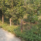 Bán 1300m đất thổ cư nhà vườn tại Hòa Sơn-Lương Sơn-Hòa Bình