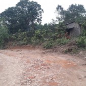 Chính chủ cần bán gấp lô đất 2610m2 ở Lương Sơn Hòa Bình chỉ cách đường HCM 100m