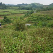 Bán đất Nam Phong, Cao Phong, Hòa BÌnh. Đất đồi bát úp view suối bám đường. Hiện đang trồng cam