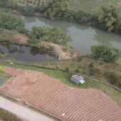 cần bán 6000m đất thổ cư nhà vườn tại Kim Bôi-Hòa Bình