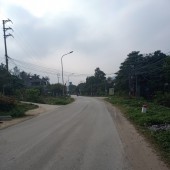 Bán đất tại Đông Xuân Quốc Oai Hà Nội diện tích 11000m2