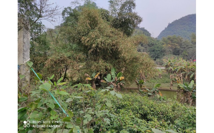 Bán đất tại view suối Cao Dương, Lương Sơn, Hoà Bình