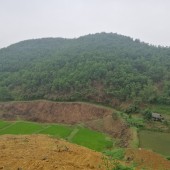 Bán 16ha đất rừng sản xuất tại xã Quang Tiến, TP. Hòa Bình, Hòa Bình