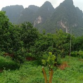 Bán đất Hợp Thanh, Lương Sơn, Hòa Bình. Khuôn viên trang trại cá cây ăn quả cần chuyển nhượng. Có 1 trại gà diện tích 800m vẫn hoạt động.