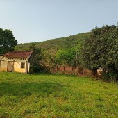 Bán đất tại xã Tiến Xuân Thạch Thất Hà Nội diện tích 4500m2. Giá rẻ