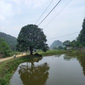 Bán đất Tân Vinh, Lương Sơn, Hòa Bình. Đất cách QL6 chỉ 2,5km, đường vào xe 45 chỗ đi được.