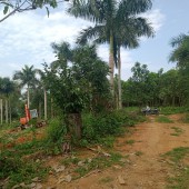 Bán đất tại xã Yên Bài Ba Vì Hà Nội diện tích 1617m2.