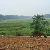 chính chủ gửi bán gấp lô đất 1170m2 có 300m2 đất ở còn lại đất vườn tại cổ đông sơn tayy hà nội Khu vực :Bán Đất tại Thị Xã Sơn Tây Hà Nội Giá :Diện tích :1170 m2Ngày