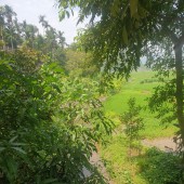 Bán đất Vĩnh Đồng, Kim Bôi, Hòa Bình. Full thổ cư, view cánh đồng. Cách đường QL 12B chỉ 40m2