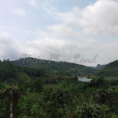 Bán đất Thung Nai, Cao Phong, Hoà Bình. Tứ bề bám sông chảy ra hồ HB. Phù hợp làm sinh thái - nghỉ dưỡng.
