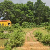 Cần bán 3400m đất nghỉ dưỡng  tại Lương Sơn, Hòa Bình