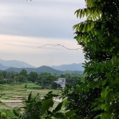 Bán đất Cư Yên, Lương Sơn, Hòa Bình. Thế đất thoải, bám mặt đường tầm 40m, view cánh đồng xa típ tắp.