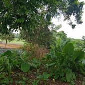 chính chủ gửi bán lô đất đẹp như hoa hậu dt 2300m tại thị trấn lương sơn hòa bình Khu vực :Bán Đất tại Huyện Lương Sơn Hòa Bình
