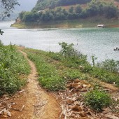 Bán đất mặt hồ Sông Đà, mặt đường liên xã tại Hiền Lương, Đà Bắc, Hòa Bình. Bám sông hơn 100m.