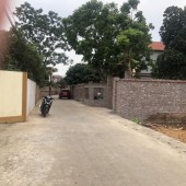 Bán rẻ 96m đất trục chính Đan Tảo-Tân Minh-Sóc Sơn giá chỉ hơn 900tr