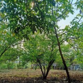Bán 2000m2 đất nền #Mộc_Châu khai thác du lịch sinh thái