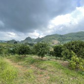 Bán đất Mộc Châu, thích hợp làm trang trại, nhà vườn giá rẻ mùa covid