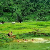 CẦN TIỀN BÁN GẤP lô đất 3800m2 có 400m thổ cư - Bản Lùn - Mường Sang Mộc Châu giá rẻ