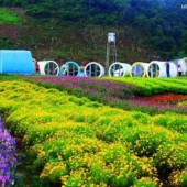 Bán mảnh đất view thung lũng,phù hợp xd Homestay, gần bến xe,giá đầu tư