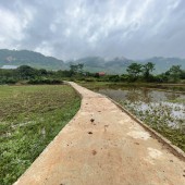 CC cần tiền gấp bán nhanh mảnh đất bản vặt mường sang,giá rẻ