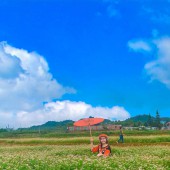 GIÁ NÀO CŨNG BÁN - Lô đất 4000m2 Bản Vặt, Mường Sang, Mộc Châu CỰC ĐẸP!!
