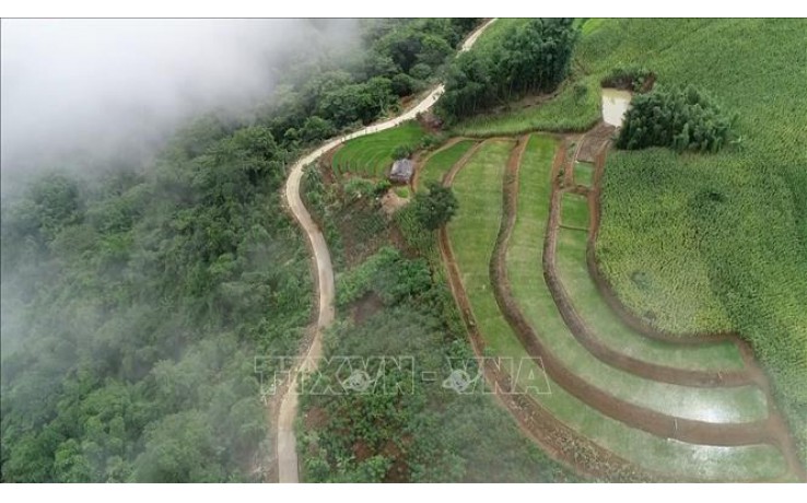 BÁN LÔ ĐẤT ĐẸP NHẤT MỘC CHÂU - SƠN LA 1,1h.a đã có 150m thổ cư giá SIÊU RẺ