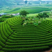 BÁN MẢNH ĐẤT TK CHIỀNG ĐI THỊ TRẤN MỌC CHÂU ĐÓN ĐÀU KHU ĐÔ THỊ QUỐC GIA GIÁ ĐẦU TƯ
