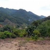 Đón sóng quy hoạch Mộc Châu, chuẩn giá đầu tư