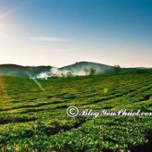 Bán đât Mộc Châu, đón sóng cao tốc, khu tiềm năng đầu tư du lịch