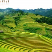 CẦN TIỀN BÁN GẤP HÔM NAY mảnh đất 350m2 có 300m thổ cư mặt Ql6 Mộc Châu - Sơn La GIÁ RẺ!!